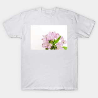Peruvian lily flowers T-Shirt